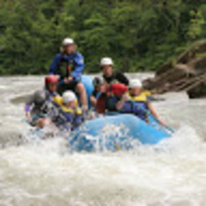 Meet your Posher, Joyce